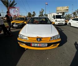 بيجو بارس